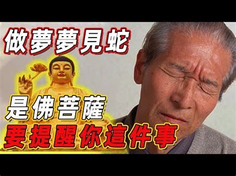 看到蛇徵兆|蛇出沒！如何應對？